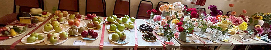 fruit and flowers